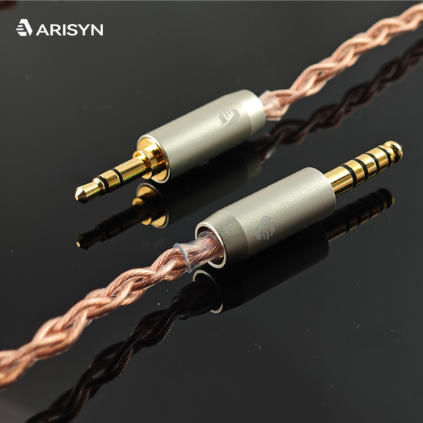 Arisyn Huo Shu HuoShu 10mm LCP Composite Diaphragm Dynamic Driver IEM In Ear Monitor Earphone
